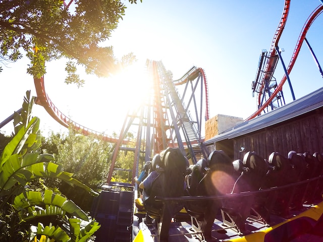 Roller Coaster at Busch Gardens Tampa.